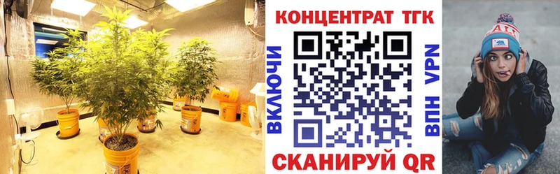 блэк спрут зеркало  наркота  Осташков  ТГК THC oil 