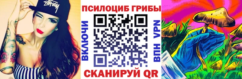где купить наркоту  Осташков  Галлюциногенные грибы GOLDEN TEACHER 